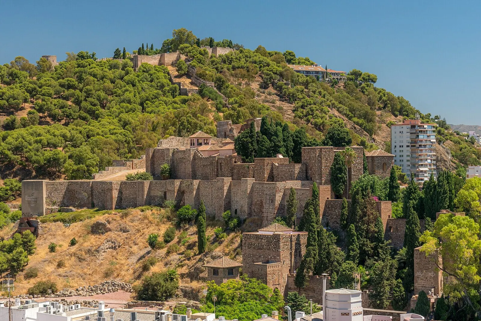 La Alcazaba de Málaga entre pinos y cipreses, con el monte Gibralfaro y su muralla detrás, en un día despejado