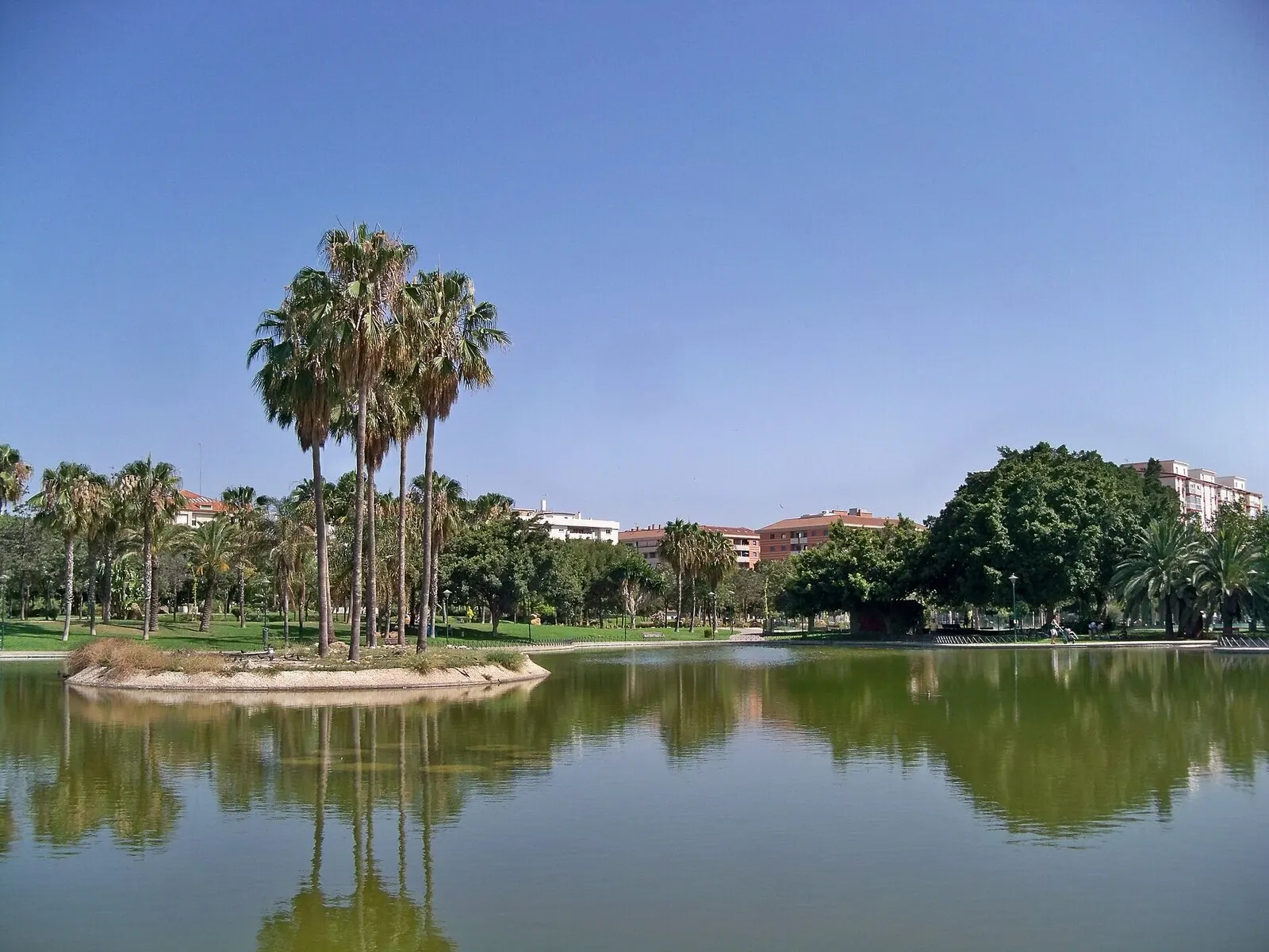 El estanque del parque de Huelin con su isla de palmeras reflejada en el agua y edificios al fondo