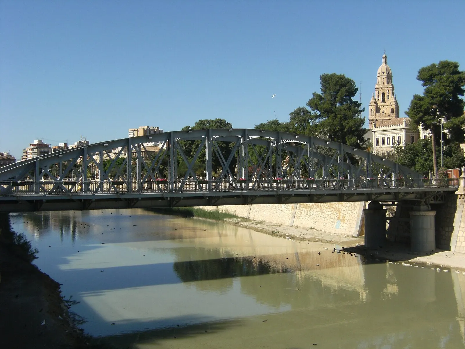 El Puente de Hierro sobre el río Segura, con la torre de la catedral de Murcia asomando entre los pinos