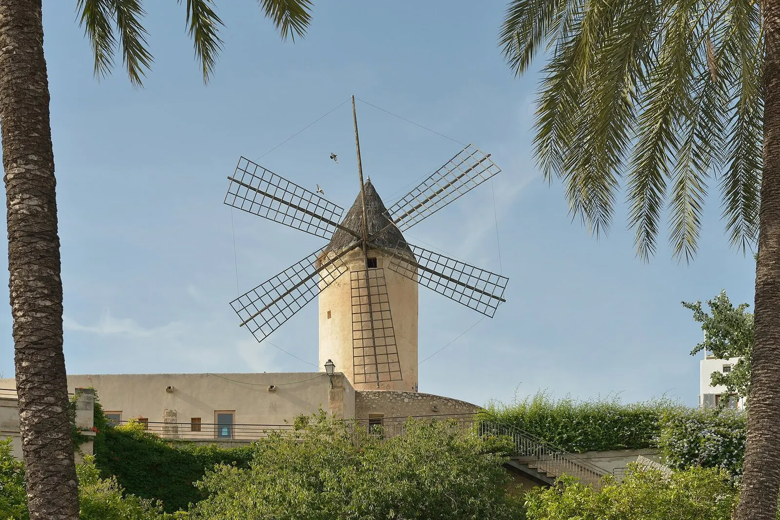 Un molino de viento de Es Jonquet, con sus aspas de madera, entre palmeras y vegetación