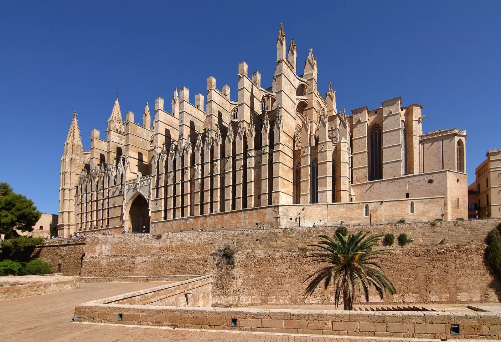 Fachada sur de la catedral de Palma sobre la muralla, con una palmera delante y cielo despejado