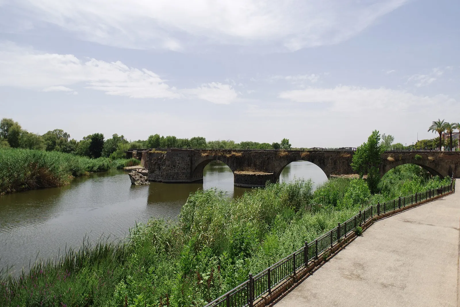 Arcos de piedra del Puente Viejo sobre el Tajo, con cañaveral y un paseo junto a la orilla