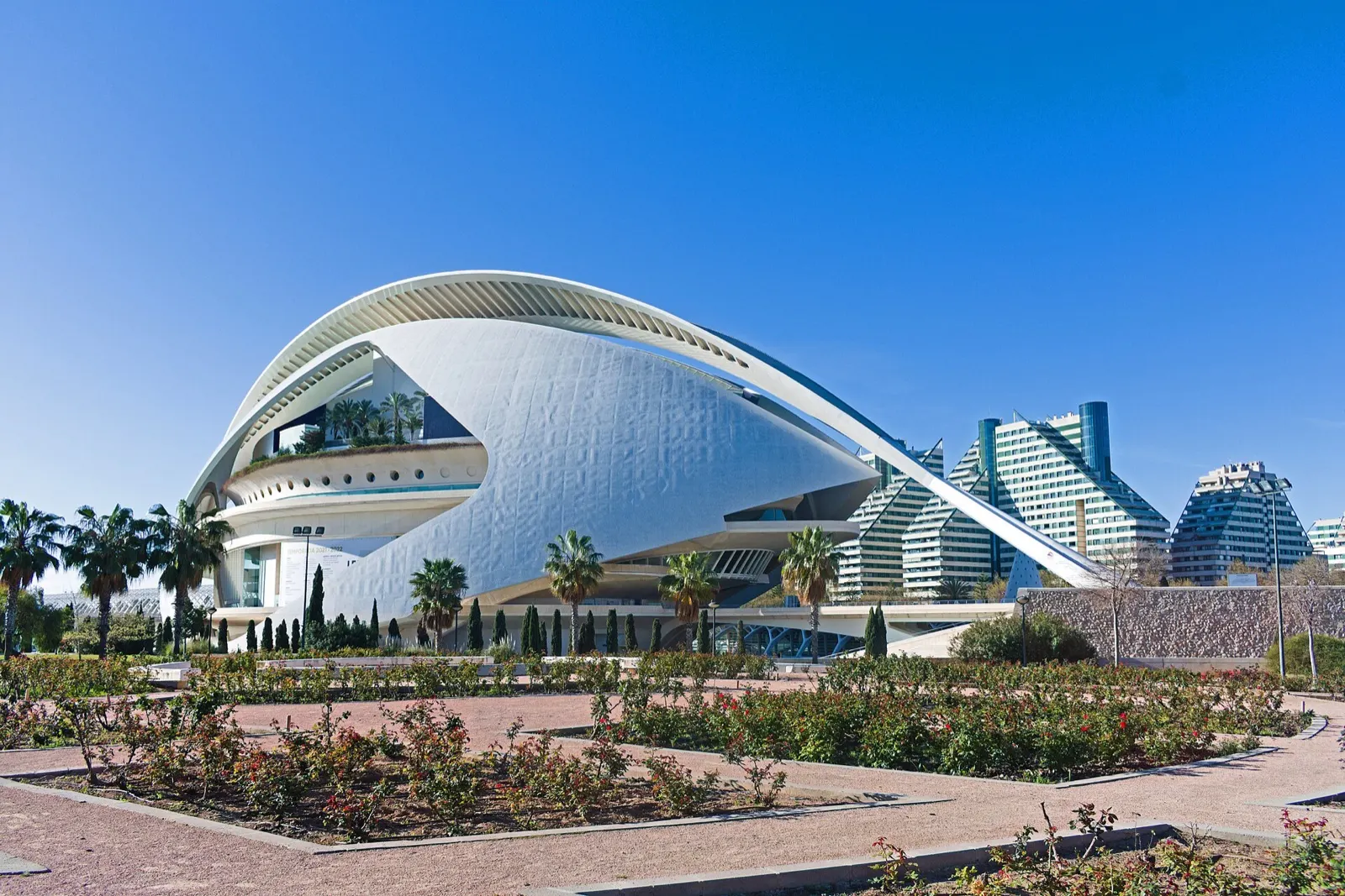Palau de les Arts Reina Sofía con palmeras y un jardín de rosales delante, bajo cielo despejado